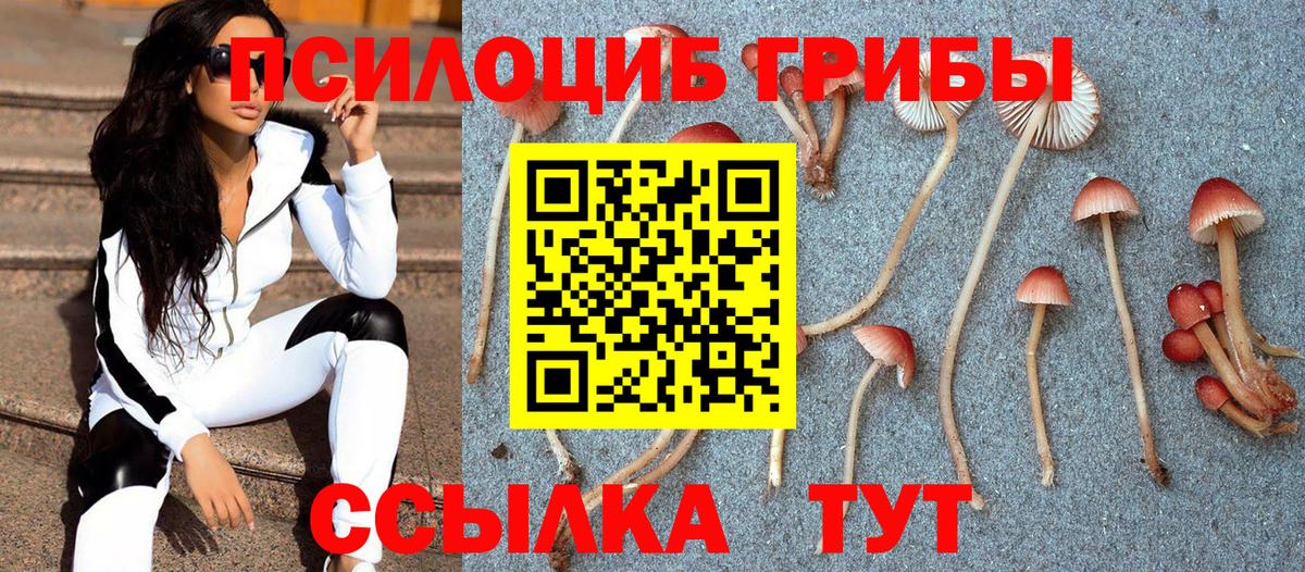 Галлюциногенные грибы ЛСД Шебекино